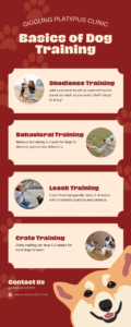 basics of dog training