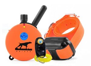 Read About Pet collars