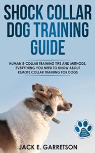 Shock dog training collars guide