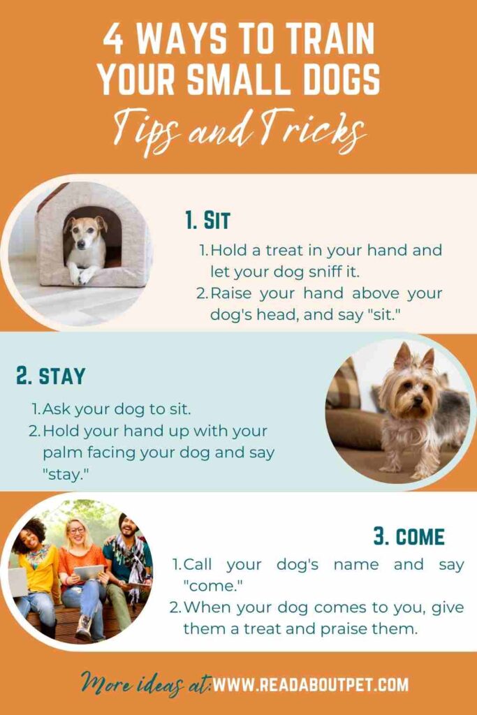 4 Ways to train your small Dogs