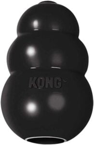 Kong Dental chew toys