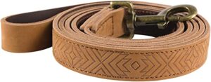 Leather Dog collar for Dog