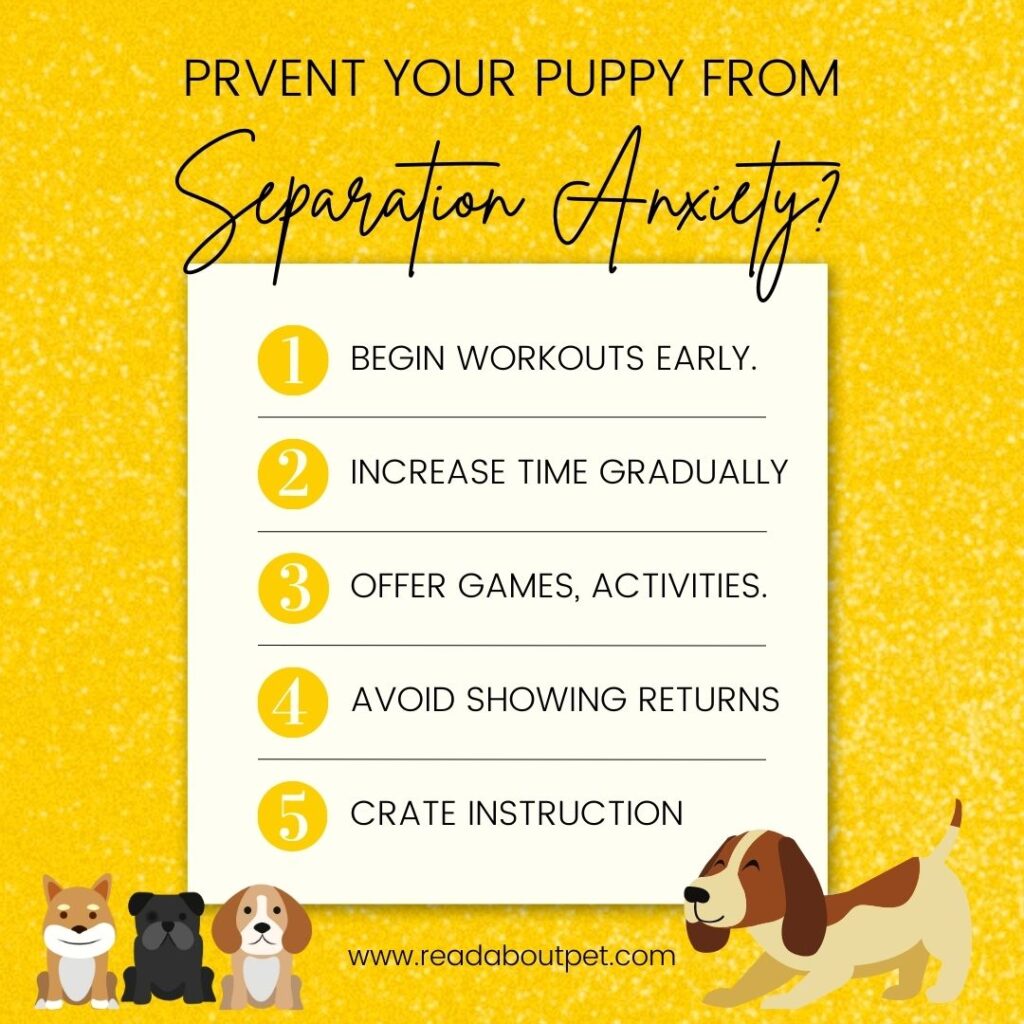 How to prevent your puppy from separation anxiety
puppy health training, mentally health