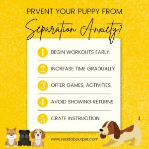 Reduce Anxiety in your puppy
